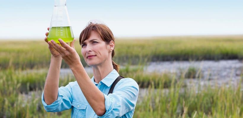 Biología con Especialidad en Ciencias Ambientales y Ecológicas